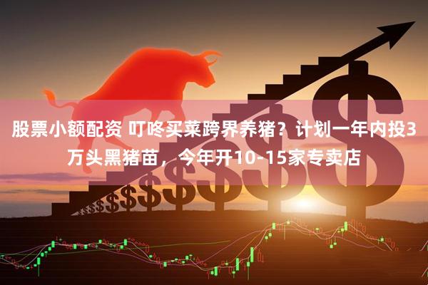 股票小额配资 叮咚买菜跨界养猪？计划一年内投3万头黑猪苗，今年开10-15家专卖店