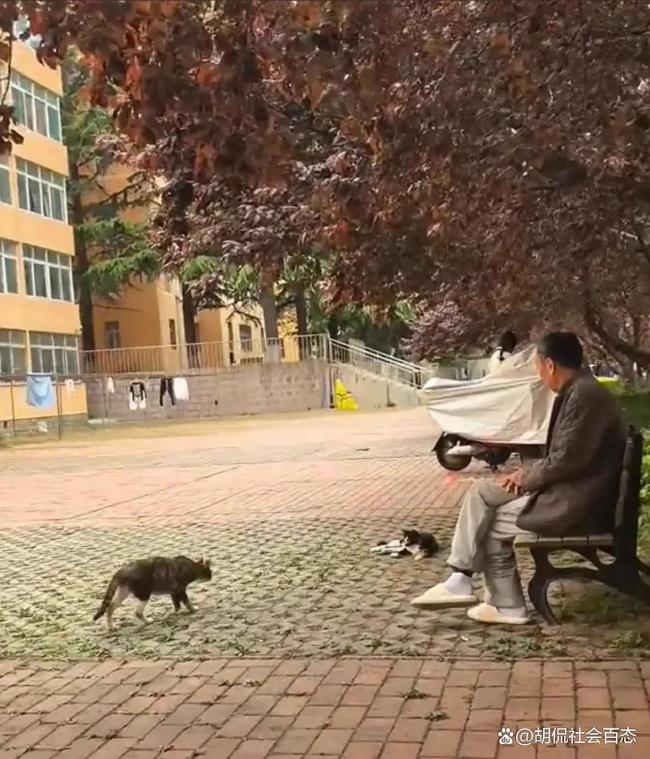 学生在宿管大爷生前屋外放鲜花悼念 高温下的悲剧引发深思