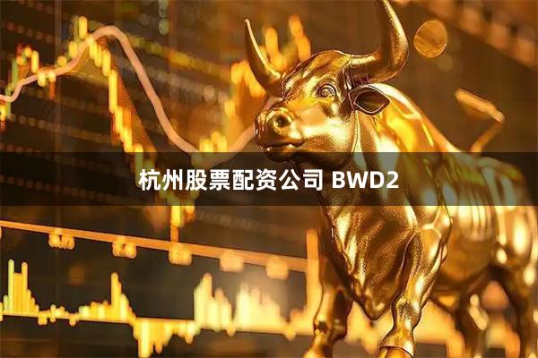 杭州股票配资公司 BWD2